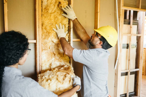 Best Blown-In Insulation  in Sterling, AK